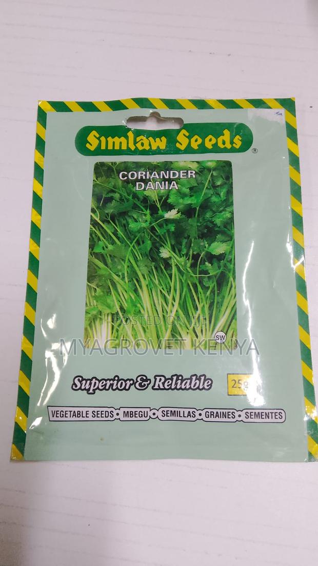 Dania / Corriander / Dhania Seeds 50g, 25g