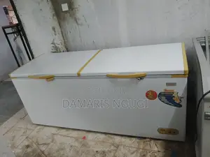 600litres Deep Freezer