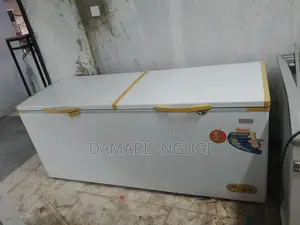 600litres Deep Freezer