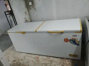 600litres Deep Freezer