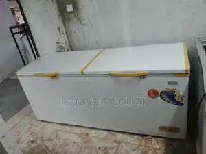 600litres Deep Freezer