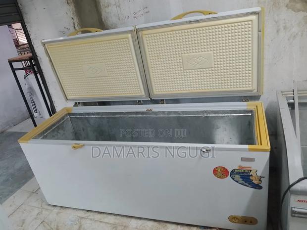2door Deep Freezer