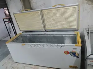 2door Deep Freezer