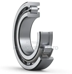 Nf309wc3 Single-Row Cylindrical Roller Bearing