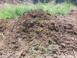 Goat Manure