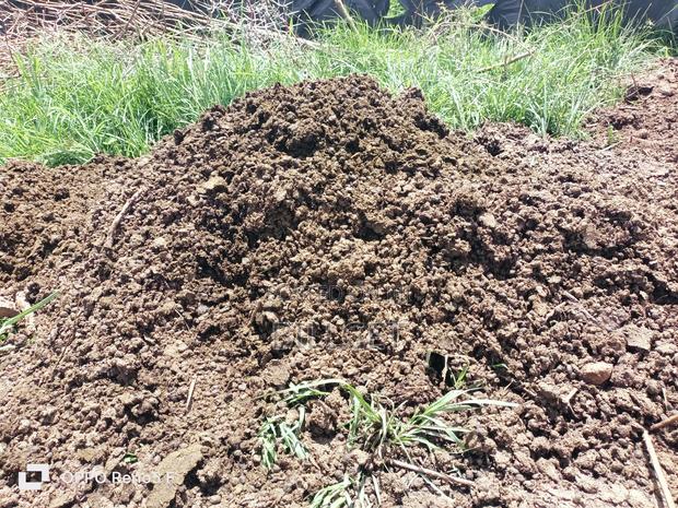 Goat Manure - main view