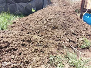 Goat Manure