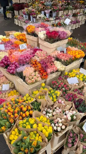 Natural Flowers