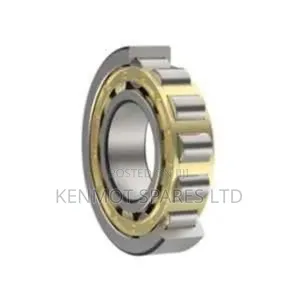 Nu213-E-Xl-M1-C3 Cylindrical Roller Bearing