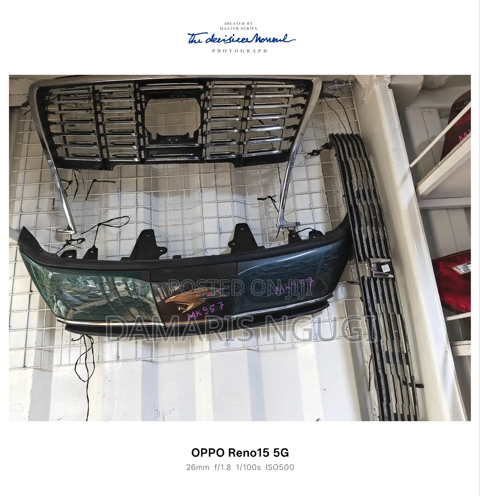 Harrier Grill 2018/2019 Greenish
