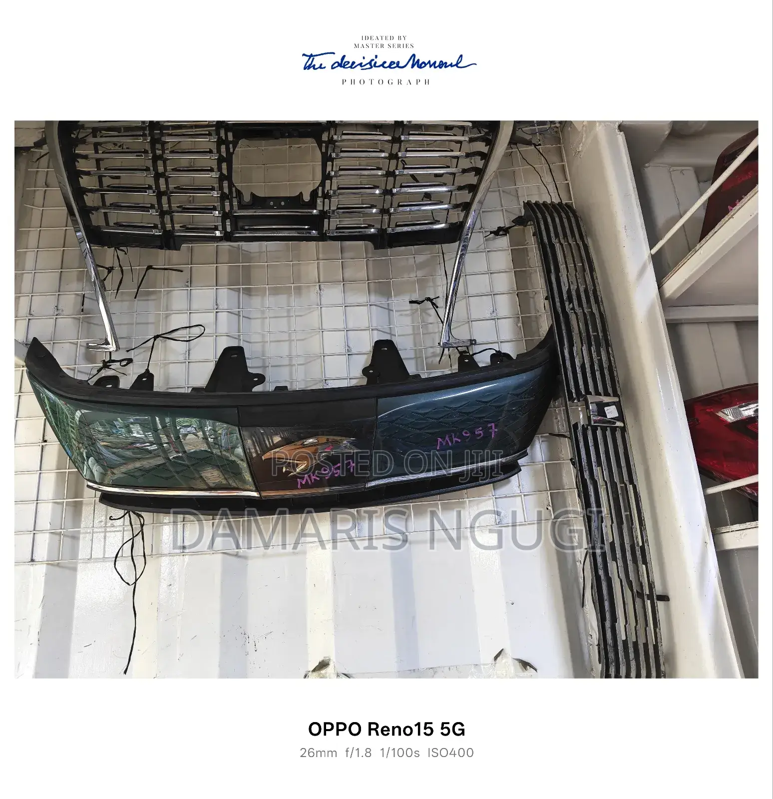 Harrier Grill 2018/2019 Greenish