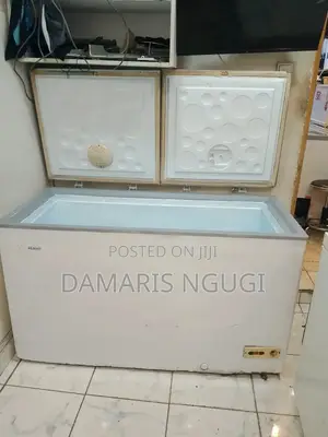 Haier Double Door Deep Freezer