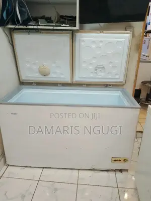 Haier Double Door Deep Freezer