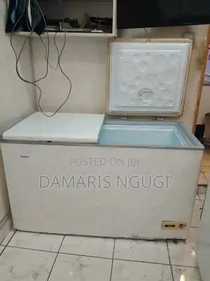 2 Door Freezer