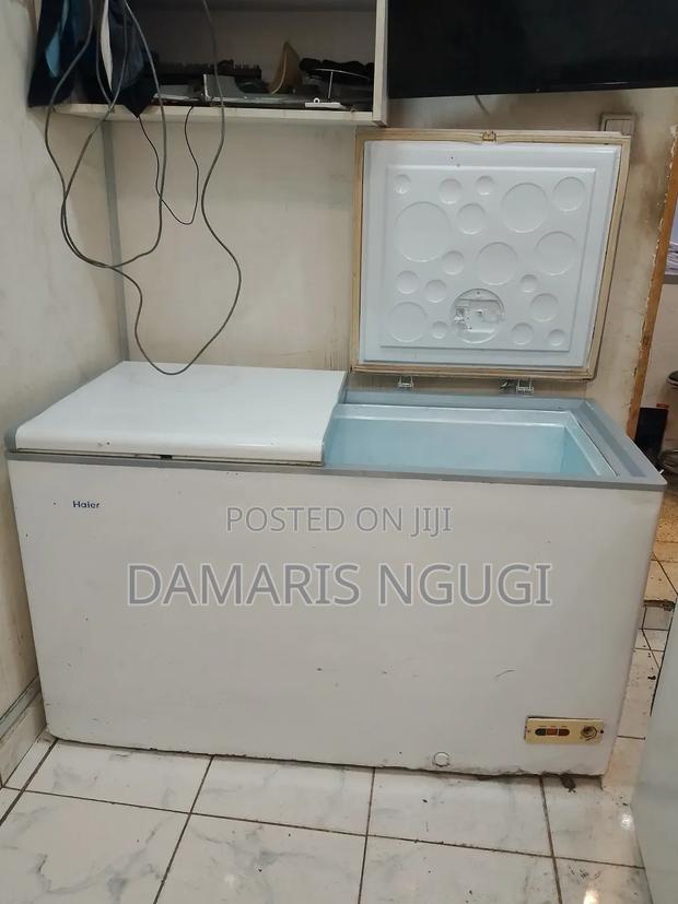 2 Door Freezer - thumbnail 2