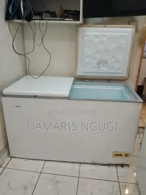 2 Door Freezer