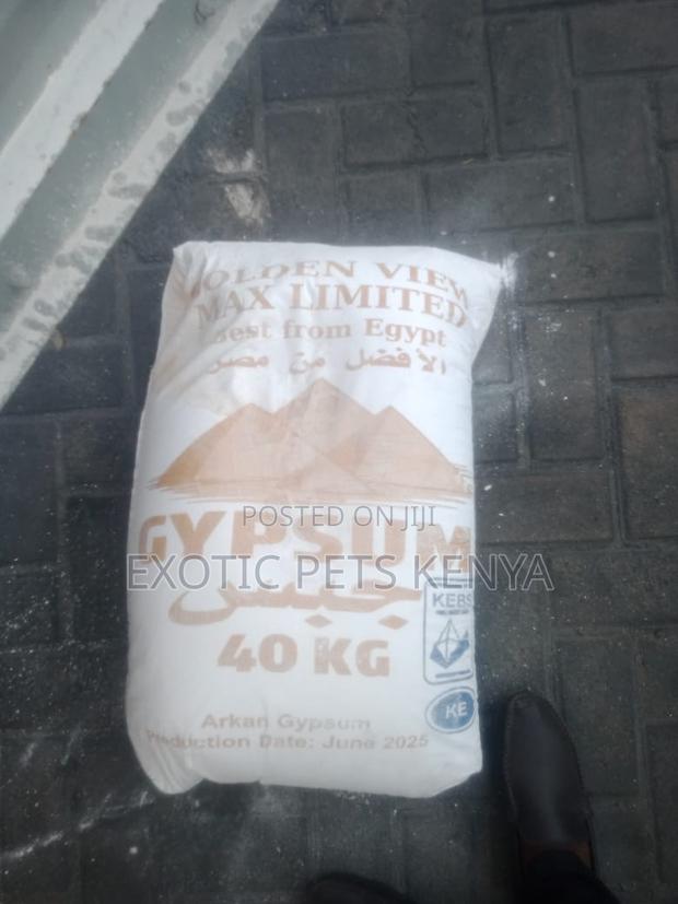 Gypsum Powder - main view