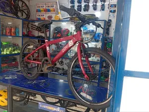 Raleigh Size 20 Geared Bike