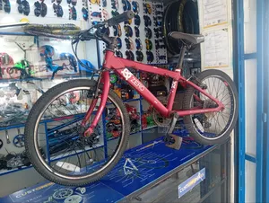 Raleigh Size 20 Geared Bike