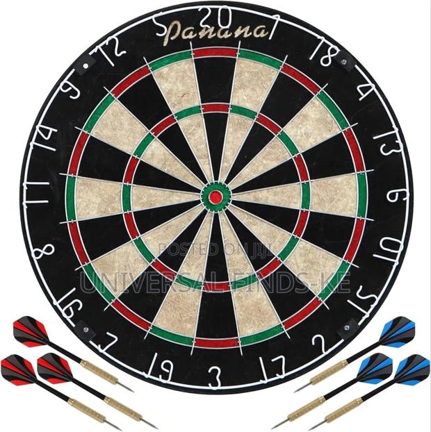 A Professional Dartboard - main view