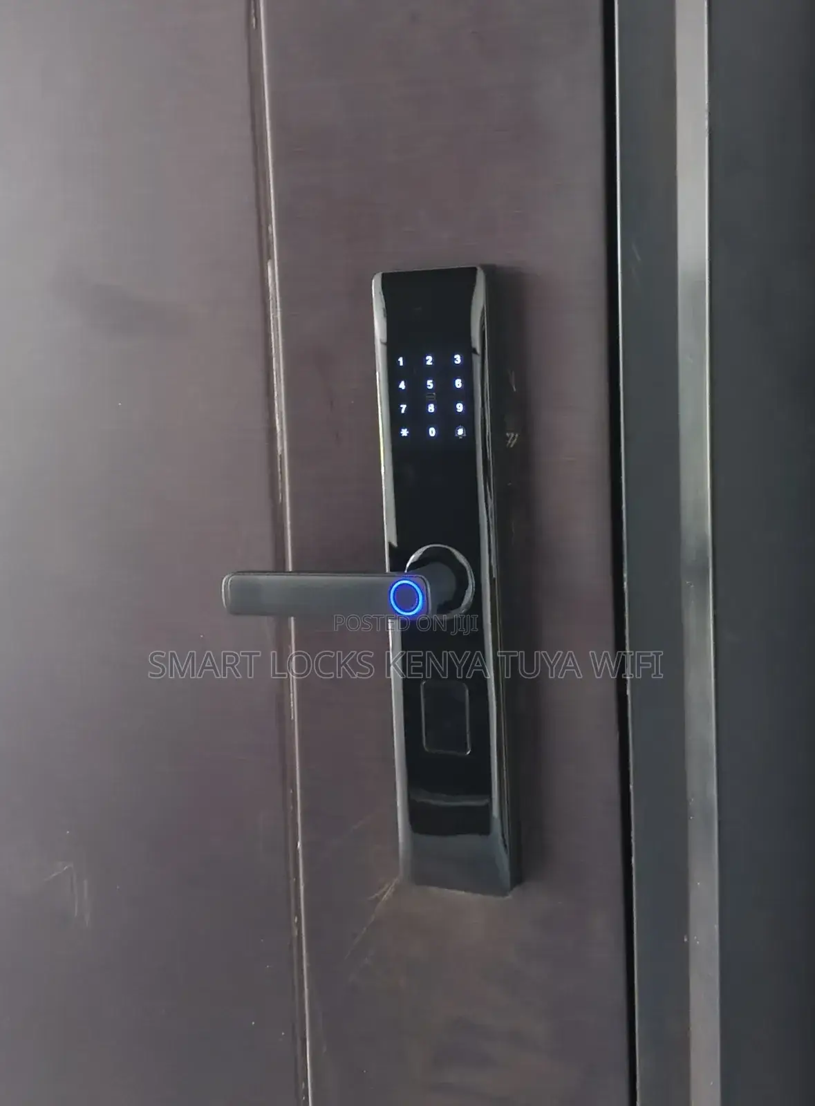 Biometric Wifi Smart Door Smart Door Lock