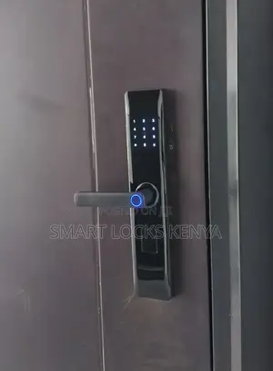 Biometric Wifi Smart Door Smart Door Lock