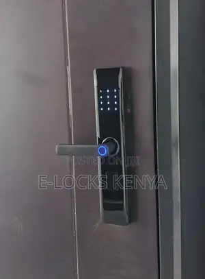 Biometric Wifi Smart Door Smart Door Lock