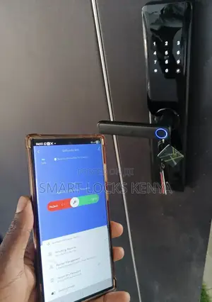 Biometric Smart Fingerprint Lock Smart Lock Door