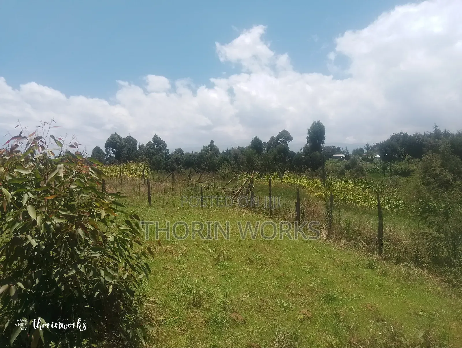 Land 1⁄4 Acre in Warazo Jet
