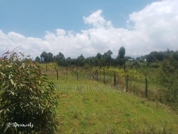 Land 1⁄4 Acre in Warazo Jet