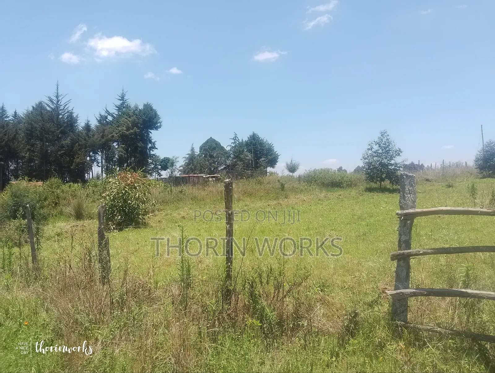 Land 1⁄4 Acre in Warazo Jet