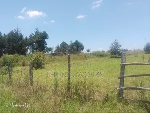 Land 1⁄4 Acre in Warazo Jet