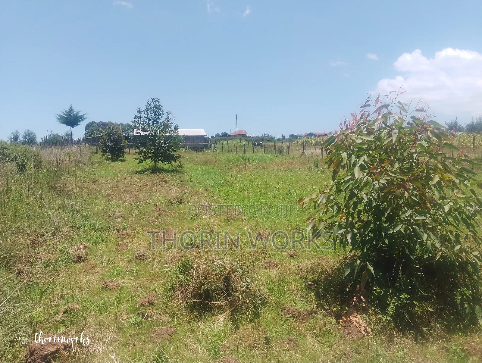 Land 1⁄4 Acre in Warazo Jet