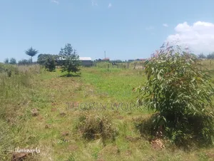 Land 1⁄4 Acre in Warazo Jet