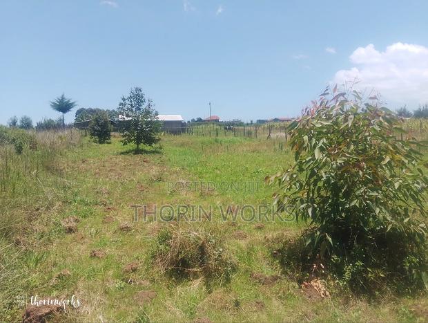 Land 1⁄4 Acre in Warazo Jet - thumbnail 3