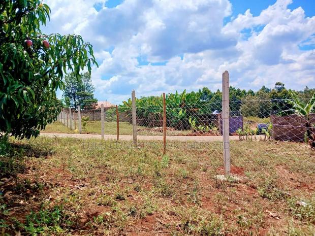 50*100 Ruiru Mugutha Plot for Sale - thumbnail 5