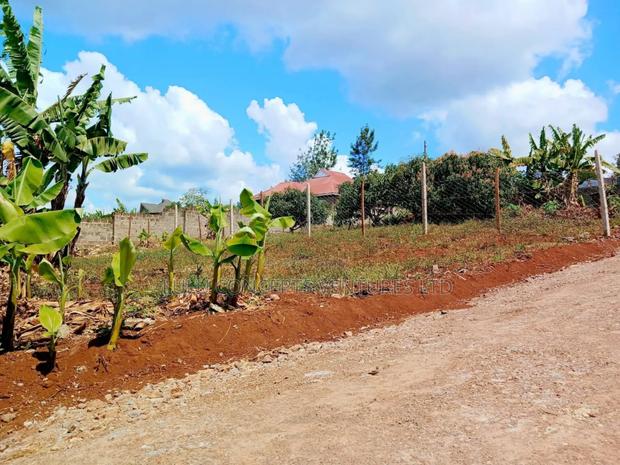 50*100 Ruiru Mugutha Plot for Sale - thumbnail 9