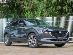Mazda CX-30 2019 Gray