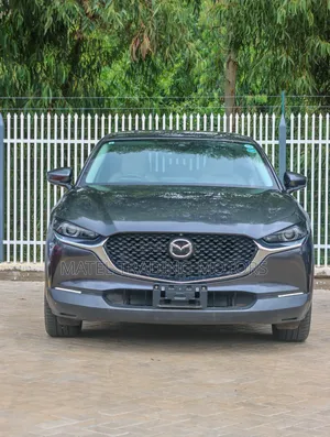 Mazda CX-30 2019 Gray