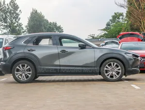 Mazda CX-30 2019 Gray
