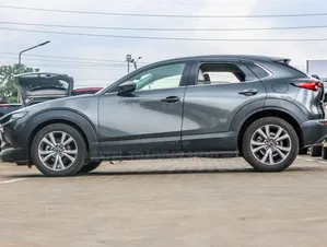 Mazda CX-30 2019 Gray