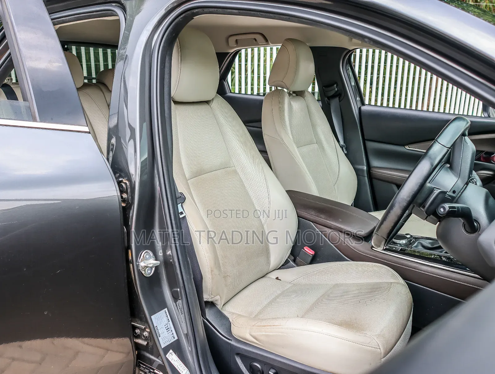 Mazda CX-30 2019 Gray