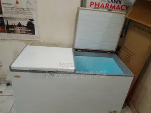 Fully Functional Deep Freezer