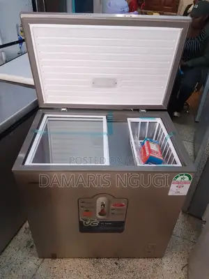 Bd 219 Deep Freezer