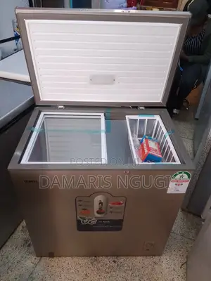 Bd 219 Deep Freezer