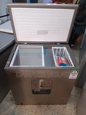 Bd 219 Deep Freezer