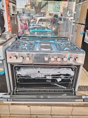 Roch 60*90cm Electric Cooker