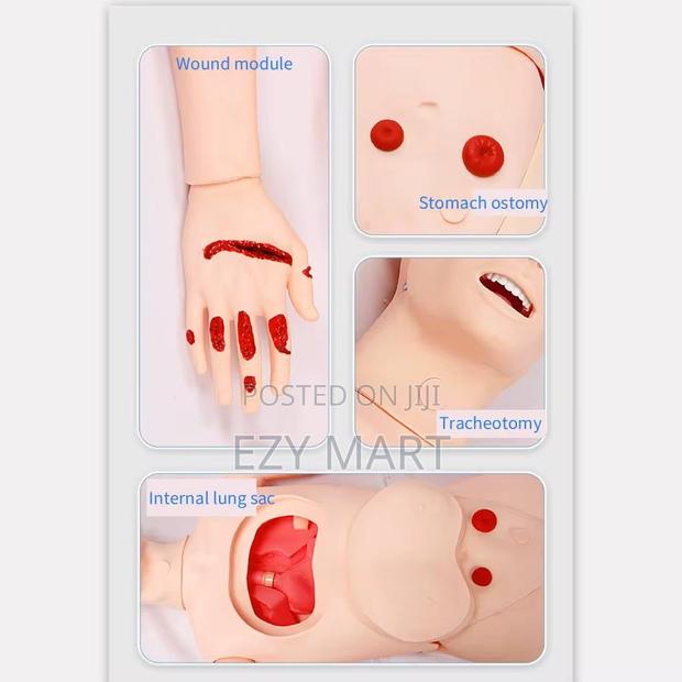 Trauma Training Dummy - thumbnail 2