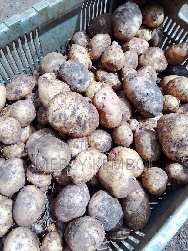 Selling Online Irish Potatoes - thumbnail 4