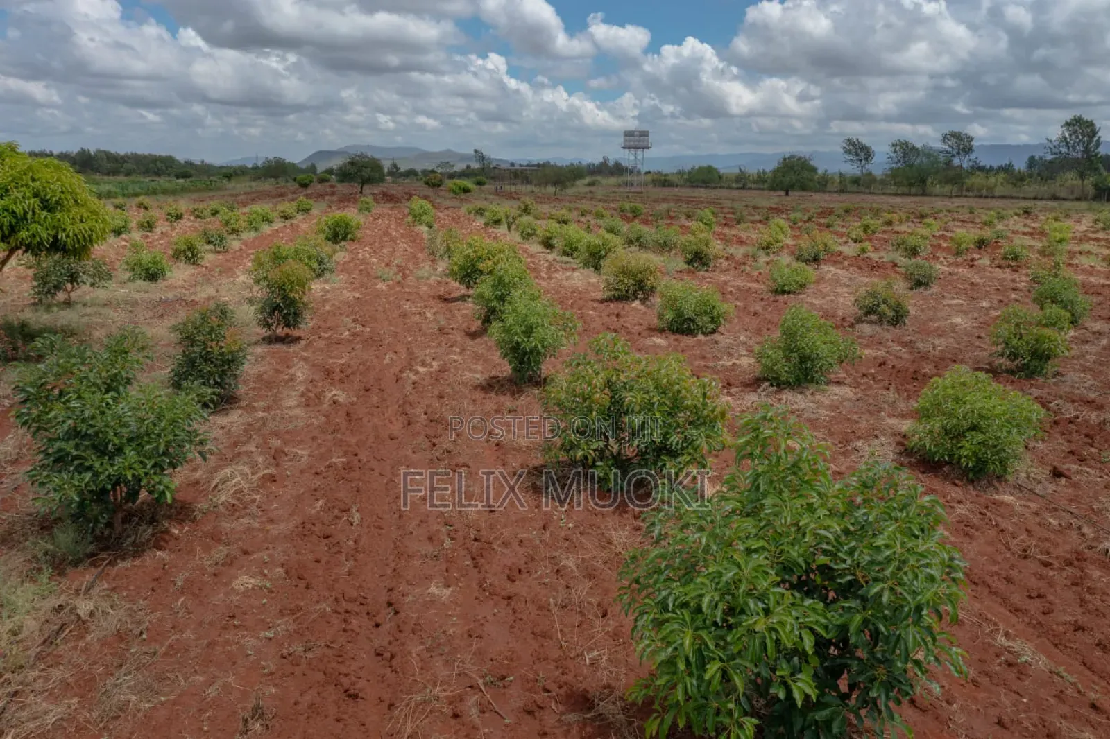 50by100 Plot on Sale Emali Makueni
